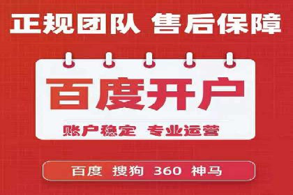 成功SEM服务案例：优化广告投放